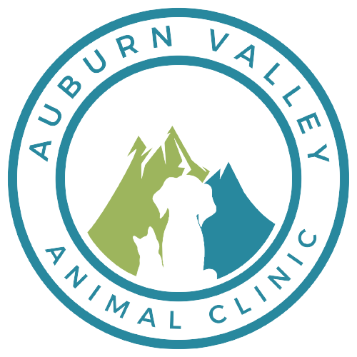 Auburn Valley Animal Clinic
